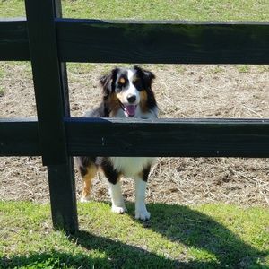 Meet your Posher, Aimee